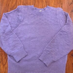 NWOT Skies Are Blue Lavender Sweater
